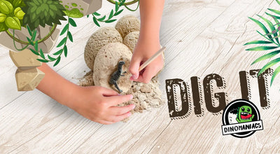 How Dig It Up dinosaur eggs promote motor skills